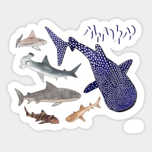 Sharks! Medley - Cartoon Sticker